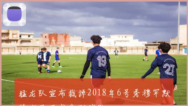 猛龙队宣布裁掉2018年6号秀穆罕默德班巴正式告别球队